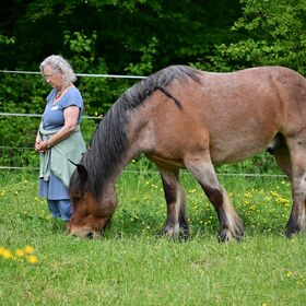 Christine Zencha Haldemann ist der Autor hier das Bild