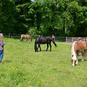 Maja R. ist der Autor hier das Bild